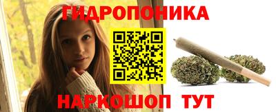стаф Можга