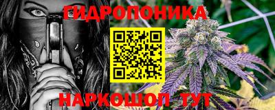 прущие грибы Малгобек