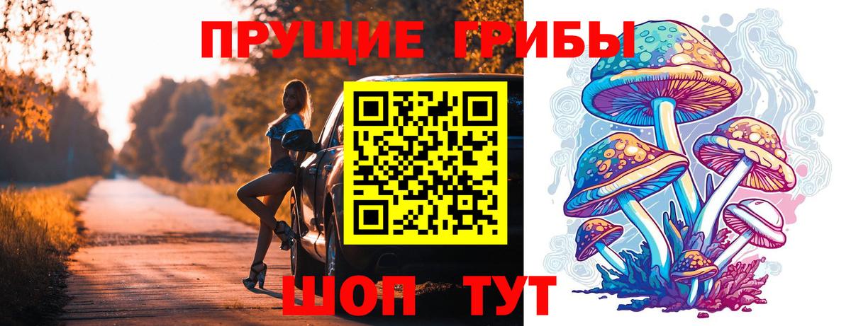 Псилоцибиновые грибы Cubensis Верхний Уфалей