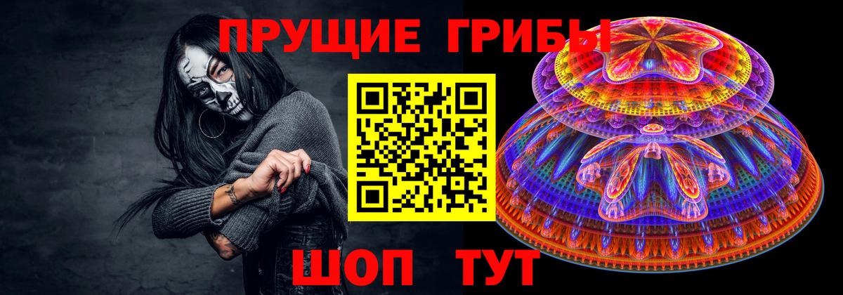 Галлюциногенные грибы Psilocybe  Вход с VPN  Верхний Уфалей 